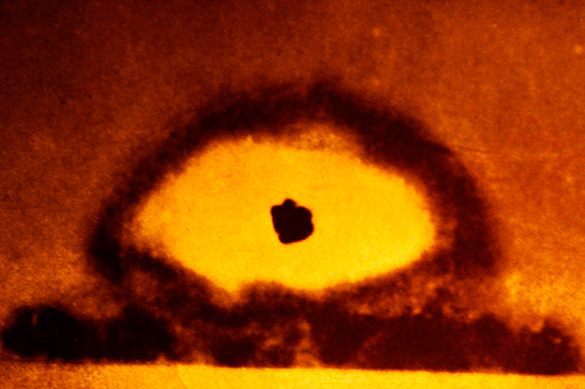 Томские ученые провели учебный "Армагеддон" Томские ученые провели учебный "Армагеддон"