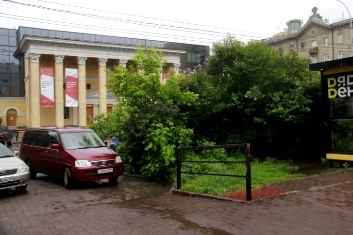 Новосибирец снял на видео полчища крыс в самом центре — на улице Ленина