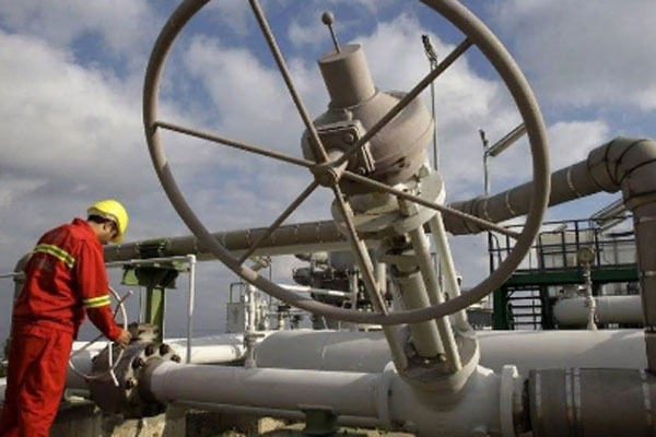 Турция договорилась с РФ об отсрочке платежей за газ на $600 млн до 2024 года