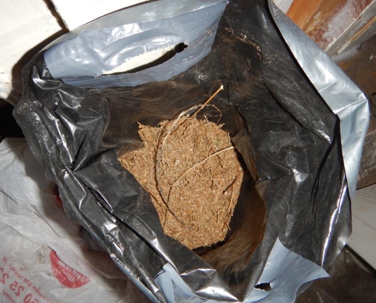 В Томской области задержан мужчина по подозрению в незаконном хранении наркотических средств В Томской области задержан мужчина по подозрению в незаконном хранении наркотических средств