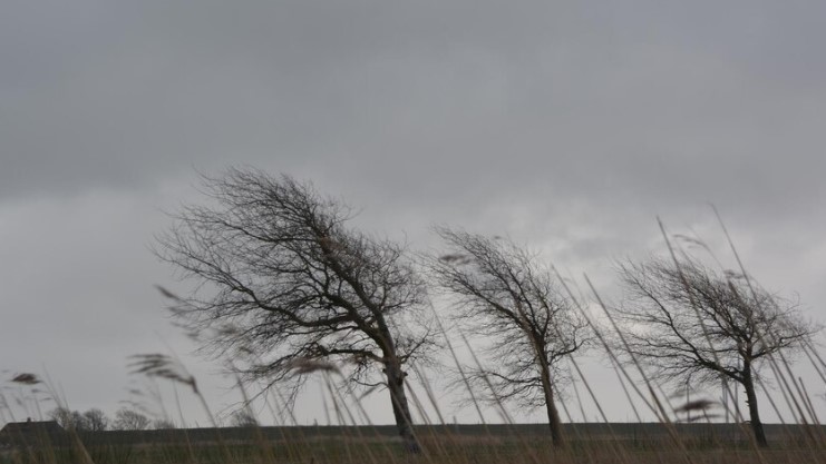 Ураган в Волгограде сорвал крыши, обрушил кран и оставил город без воды | В Волгоградской области ураган повалил ЛЭП и кран в речном порту Ураган в Волгограде сорвал крыши, обрушил кран и оставил город без воды | В Волгоградской области ураган повалил ЛЭП и кран в речном порту