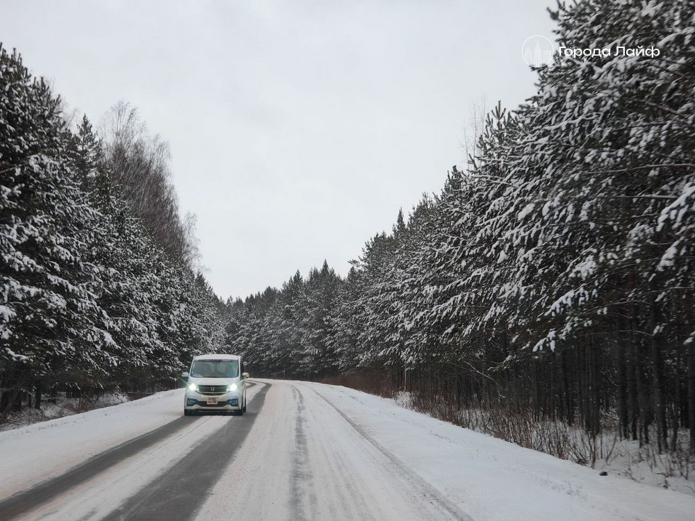 В Подмосковье ночью ожидают мороз до минус 17, но уже 10 марта в Москве потеплеет до +10 | В Подмосковье ожидается мороз до минус 17 градусов