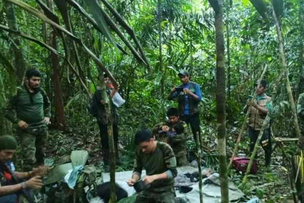 В джунглях Колумбии нашли детей, пропавших больше месяца назад после авиакрушения В джунглях Колумбии нашли детей, пропавших больше месяца назад после авиакрушения