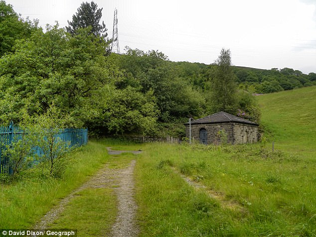 Девушка умоляла 2-летнего сына продолжать играть в парке, пока её насиловали Девушка умоляла 2-летнего сына продолжать играть в парке, пока её насиловали