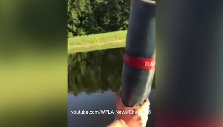 Воздушный шар с людьми упал в пруд с аллигаторами Воздушный шар с людьми упал в пруд с аллигаторами