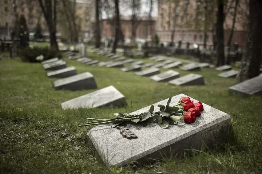 Алена Делона похоронят в поместье рядом с могилами его 35 собак 