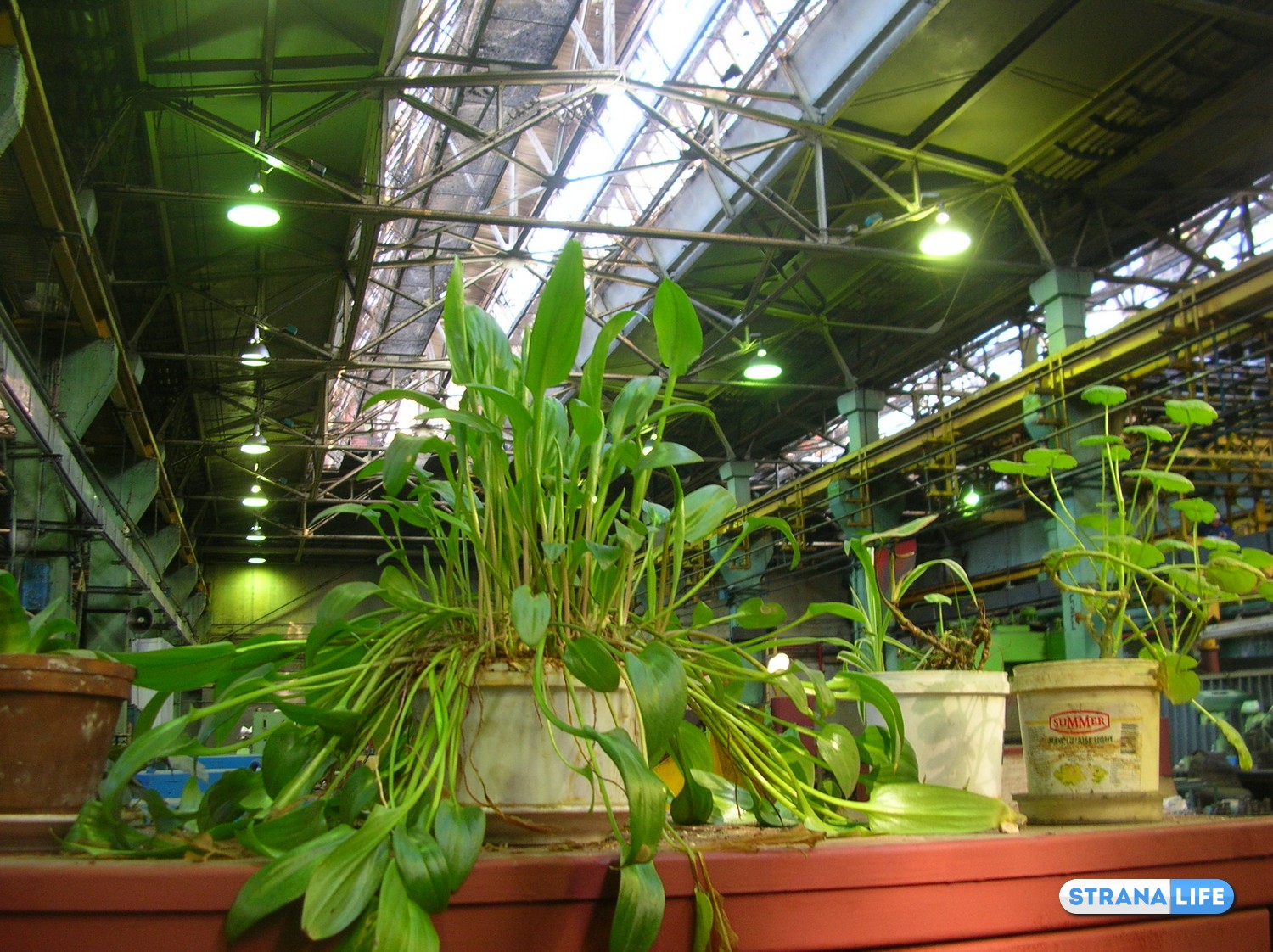 Производственное новшество: вместо запаха машинного масла – аромат цветов Производственное новшество: вместо запаха машинного масла – аромат цветов