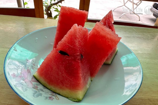 Арбуз или дыня: врач рассказал, чем плоды отличаются по составу и сколько за день можно съесть Арбуз или дыня: врач рассказал, чем плоды отличаются по составу и сколько за день можно съесть