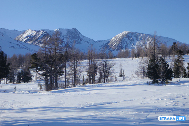 «Леня, ты на чем приехал?»