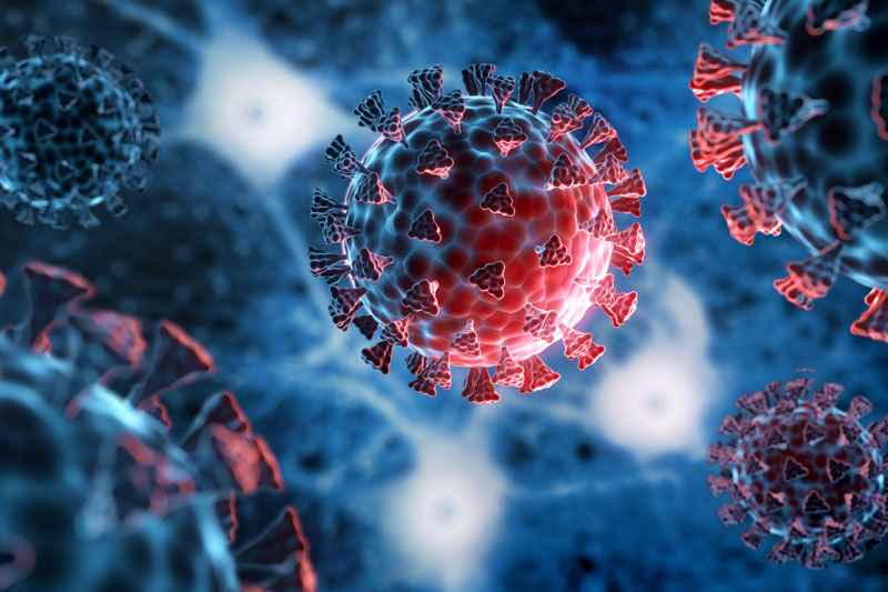 Россиян предупредили о возможном всплеске заболеваемости новым коронавирусом | Иммунолог Крючков предупредил о всплеске заболеваемости новым вариантом ковида