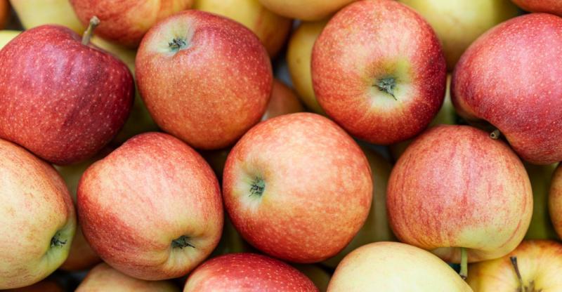 Почти 900 тонн овощей и фруктов ввезли в Свердловскую область за неделю — капуста и морковь в лидерах | В Свердловскую область за неделю ввезли почти 900 тонн овощей и фруктов