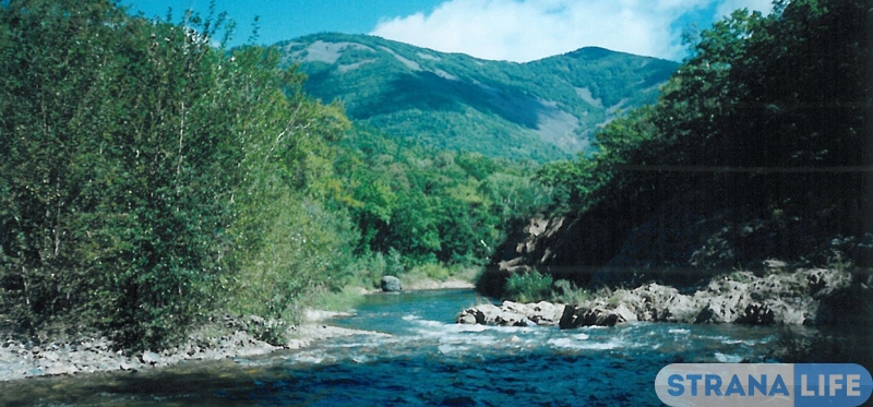В дебрях Уссурийской тайги