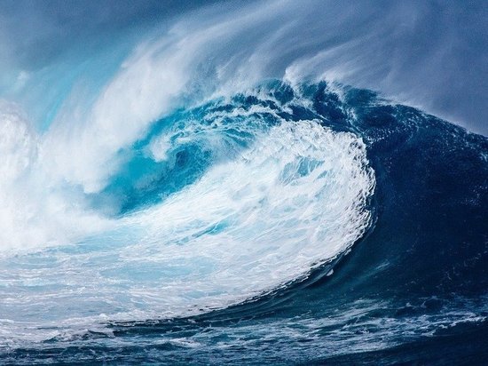 Пилот ВМС США рассказал о поглотившем торпеды "существе" в океане