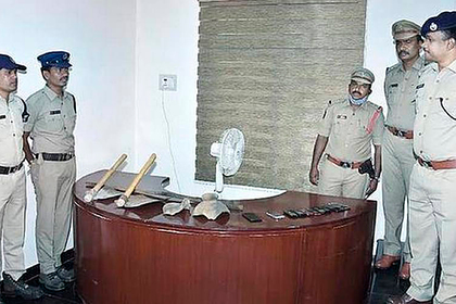 Сотни кладоискателей начали раскопки после слухов о сокровищах Сотни кладоискателей начали раскопки после слухов о сокровищах