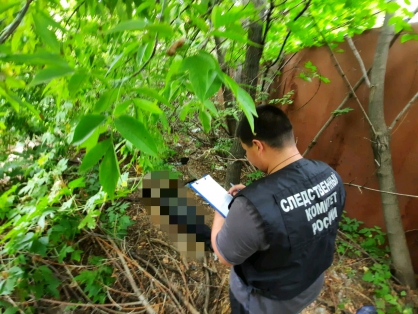 Собаки принесли человеческую голову в Саратове