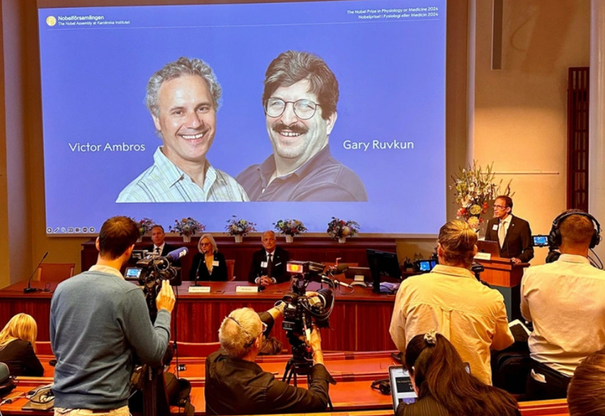 Открыли молекулы микроРНК: нобелевскую премию по медицине вручат двум американцам | Нобелевскую премию по медицине вручат американцам Виктору Амбросу и Гари Равкану