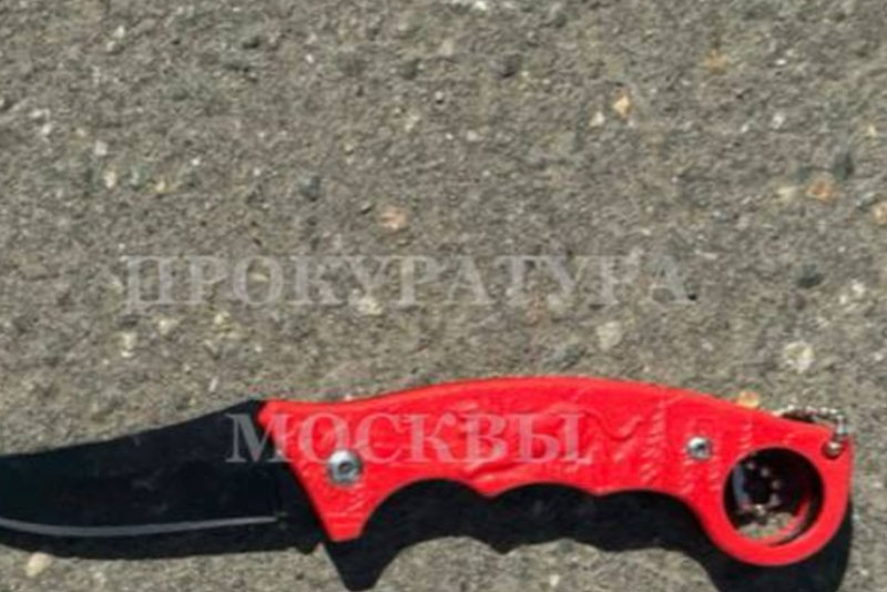 В Москве задержали мужчину, который ударил 22-летнюю студентку ножом в шею | В Москве неизвестный ударил девушку ножом в шею на улице