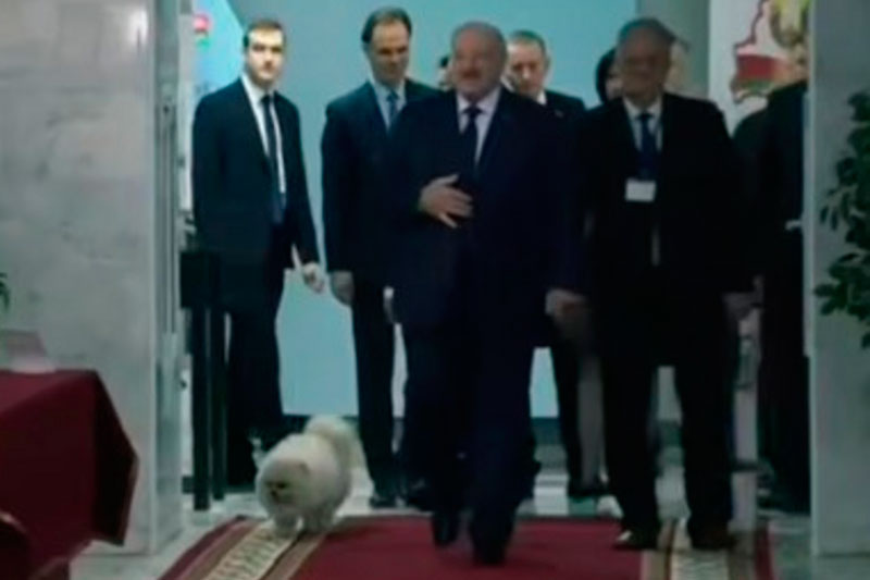 "'Это просто случайность!" — как Лукашенко с четвероногим другом стал звездой выборов в Минске. Видео | Лукашенко и его шпиц Умка на выборах: забавный момент стал вирусным