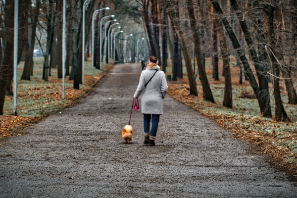 Ученые выяснили, что проживание вблизи скверов снижает риск деменции | Ученые назвали пользу от прогулок в скверах Ученые выяснили, что проживание вблизи скверов снижает риск деменции | Ученые назвали пользу от прогулок в скверах