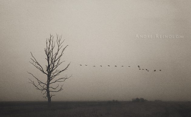 Депрессия передается генетически