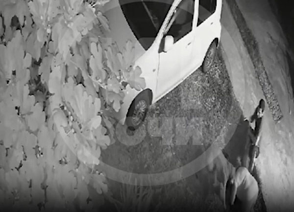 В Сочи ищут мужчину, бойцовые собаки которого напали на женщину с маленьким псом В Сочи ищут мужчину, бойцовые собаки которого напали на женщину с маленьким псом