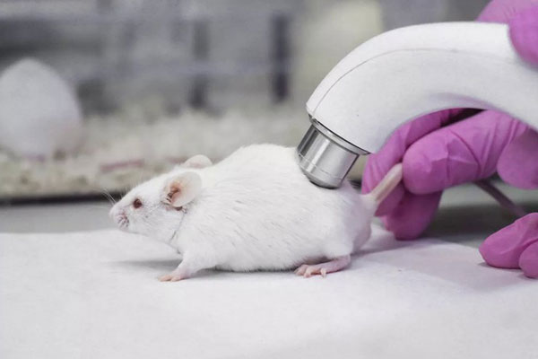 Российские учёные открыли абсолютно новый способ вакцинации