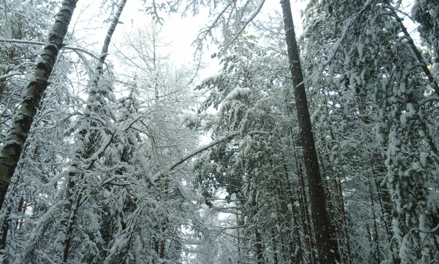 В Екатеринбург идет кратковременное потепление В Екатеринбург идет кратковременное потепление