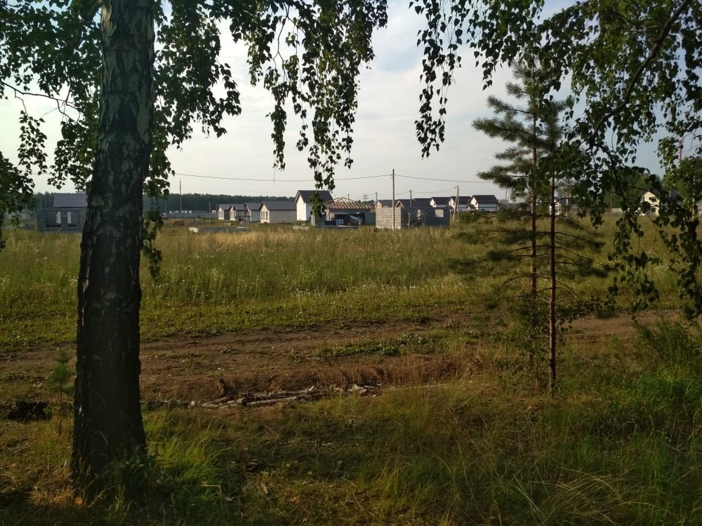 Ближе к земле: россияне массово переезжают за город. В чем выгода современных коттеджных поселков?