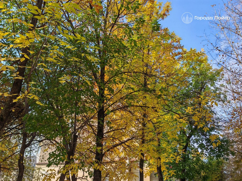 День Трифона и Пелагеи: что нельзя делать 21 октября, чтобы не накликать беду | 21 октября — день Трифона и Пелагеи День Трифона и Пелагеи: что нельзя делать 21 октября, чтобы не накликать беду | 21 октября — день Трифона и Пелагеи
