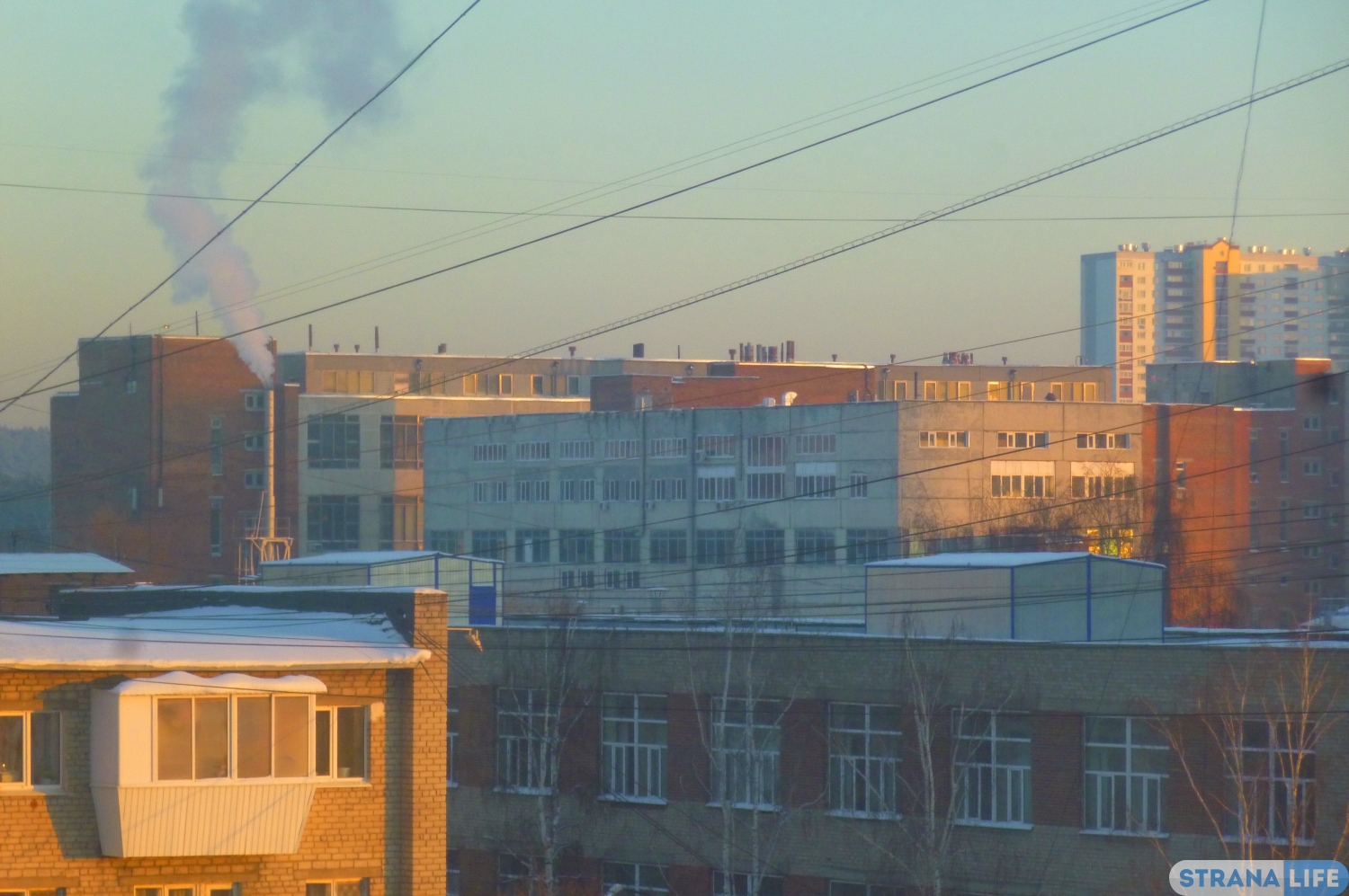 Работа становится деликатесом