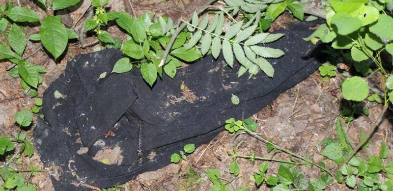 В Тверской области в рамках расследования уголовного дела обнаружено тело несовершеннолетней, пропавшей в марте 2015 года В Тверской области в рамках расследования уголовного дела обнаружено тело несовершеннолетней, пропавшей в марте 2015 года