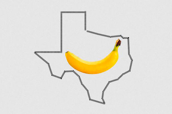 Сенатор Техаса вводит новый закон: "Вибраторы только для массажа спины, а анальные пробки — для укрепления прямой кишки" | Техас обяжет проверять удостоверение личности для покупки секс-игрушек