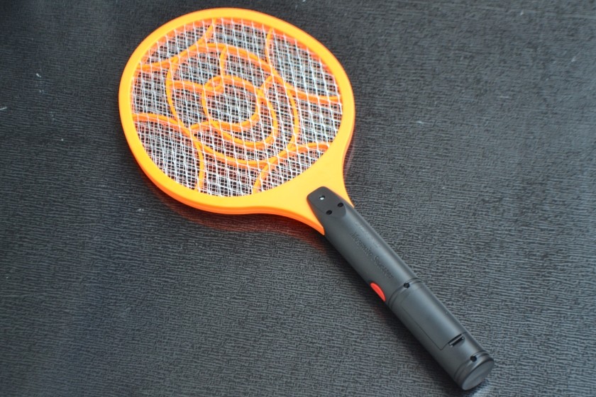 Мужчина пытался убить муху и взорвал дом