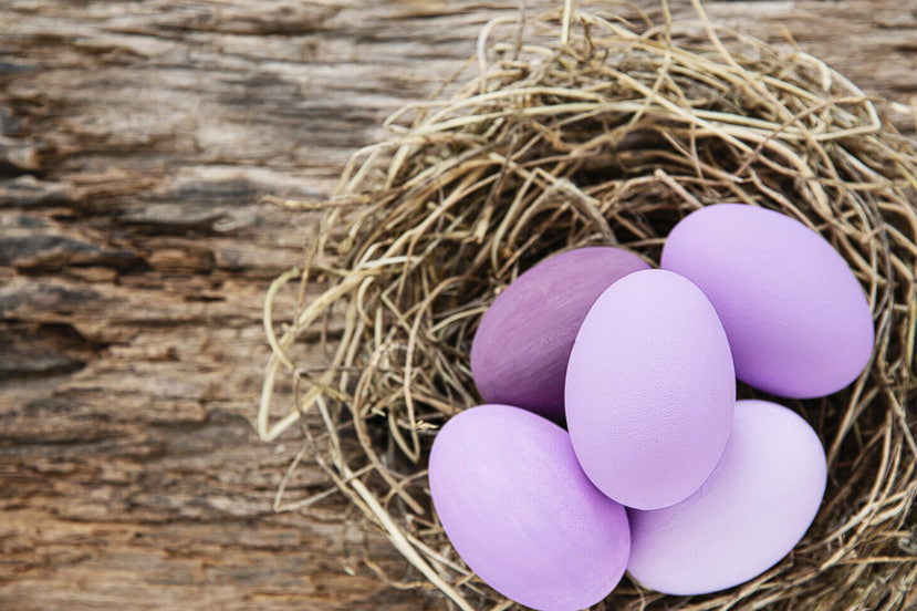 Делаю трендовые лавандовые яйца на Пасху: простой способ окрашивания натуральными средствами - это точно будет шедевр Делаю трендовые лавандовые яйца на Пасху: простой способ окрашивания натуральными средствами - это точно будет шедевр