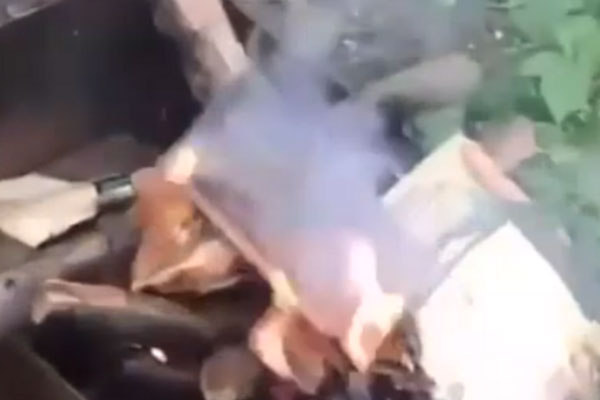 «Это же божественная книга». Трое подростков сожгли Библию и сняли это на видео | Трое подростков на Ставрополье сожгли Библию на мангале и сняли всё на видео