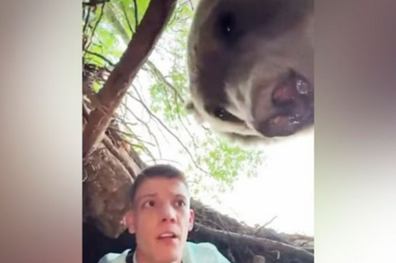 Блогер залез в берлогу к медведю и оказался в ловушке | Сербский блогер Янкович забрался в берлогу и встретился там с медведем