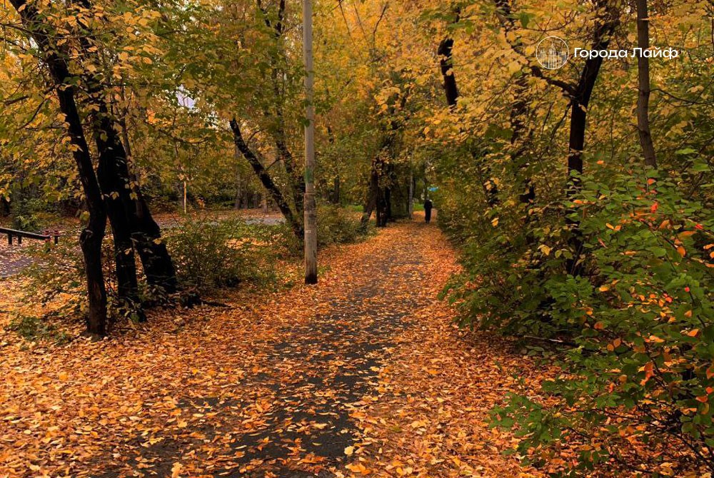 Жителей столицы ждёт ясная погода: прогноз Гидрометцентра | Высокое давление принесёт ясную погоду в Москве на следующей неделе Жителей столицы ждёт ясная погода: прогноз Гидрометцентра | Высокое давление принесёт ясную погоду в Москве на следующей неделе