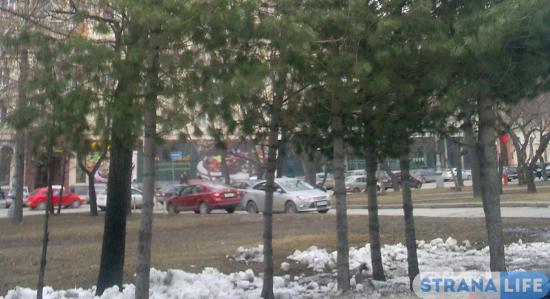 «Лес Победы» в честь юбилея «Лес Победы» в честь юбилея