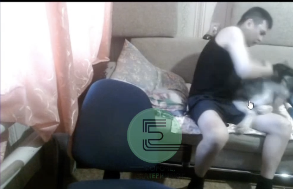 Блогер из Нижнего Тагила в прямом эфире избил свою собаку Блогер из Нижнего Тагила в прямом эфире избил свою собаку