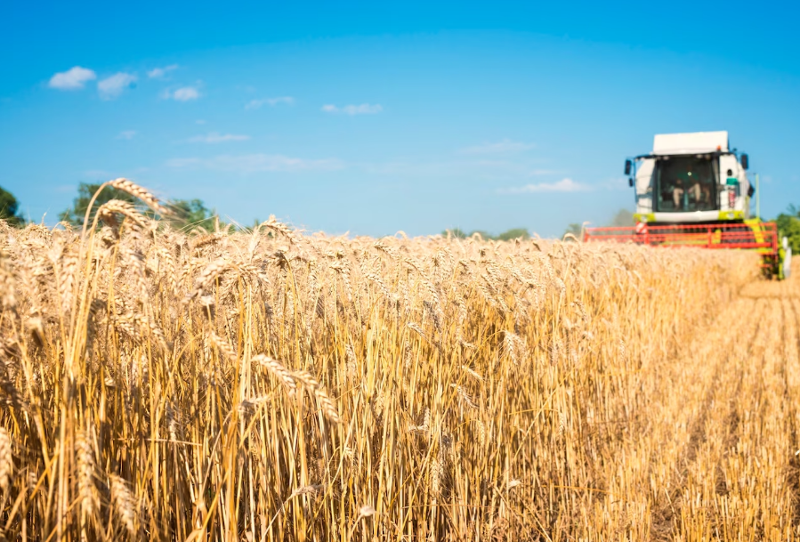 МИД России сообщил о продлении зерновой сделки на 60 дней МИД России сообщил о продлении зерновой сделки на 60 дней