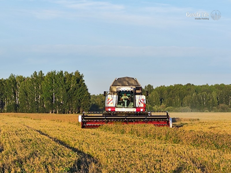 Кабмин должен будет разработать меры поддержки для аграриев, заявлено в поручении Владимира Путина | Путин поручил правительству поддержать российских аграриев Кабмин должен будет разработать меры поддержки для аграриев, заявлено в поручении Владимира Путина | Путин поручил правительству поддержать российских аграриев