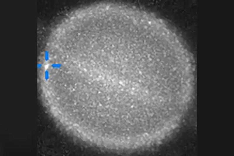 Астроном-любитель запечатлел первое в истории столкновение космического объекта с Сатурном | Астроном Марио Рана запечатлел столкновение с Сатурном Астроном-любитель запечатлел первое в истории столкновение космического объекта с Сатурном | Астроном Марио Рана запечатлел столкновение с Сатурном