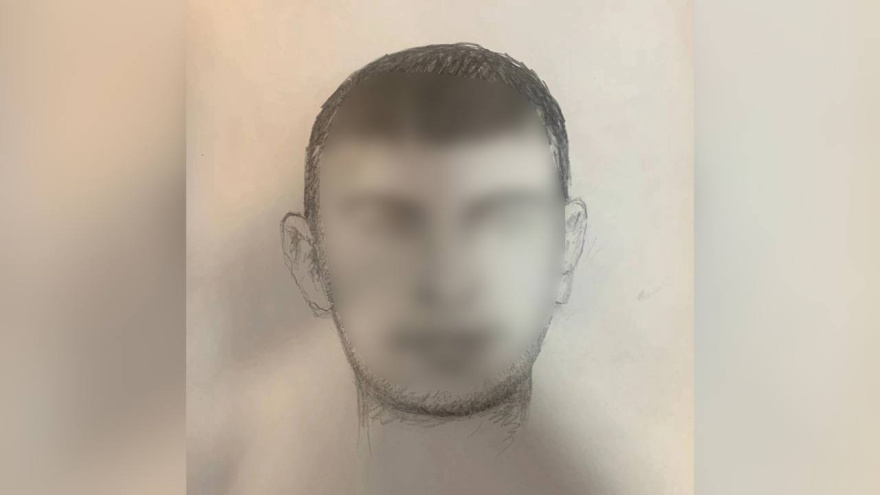 В Воронеже распространили ориентировку на мужчину, пристававшего к 9-летней девочке В Воронеже распространили ориентировку на мужчину, пристававшего к 9-летней девочке