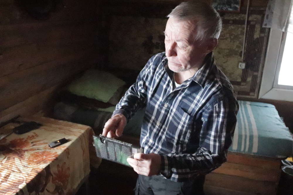 Совсем распоясались! Из-за перемены погоды дикие звери «сходят с ума»