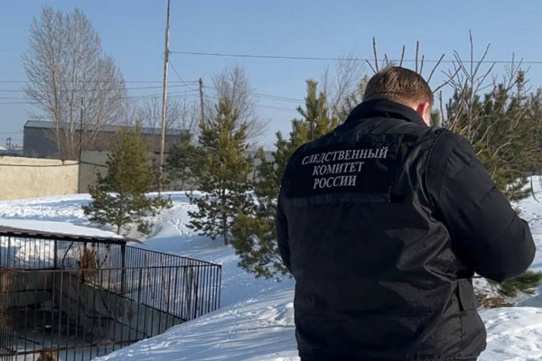 Хулиганство молодежи без границ: "Мы просто развлекались!" — как толпа подростков избила пенсионера в Гусь-Хрустальном | Толпа подростков избила пенсионера во Владимирской области Хулиганство молодежи без границ: "Мы просто развлекались!" — как толпа подростков избила пенсионера в Гусь-Хрустальном | Толпа подростков избила пенсионера во Владимирской области