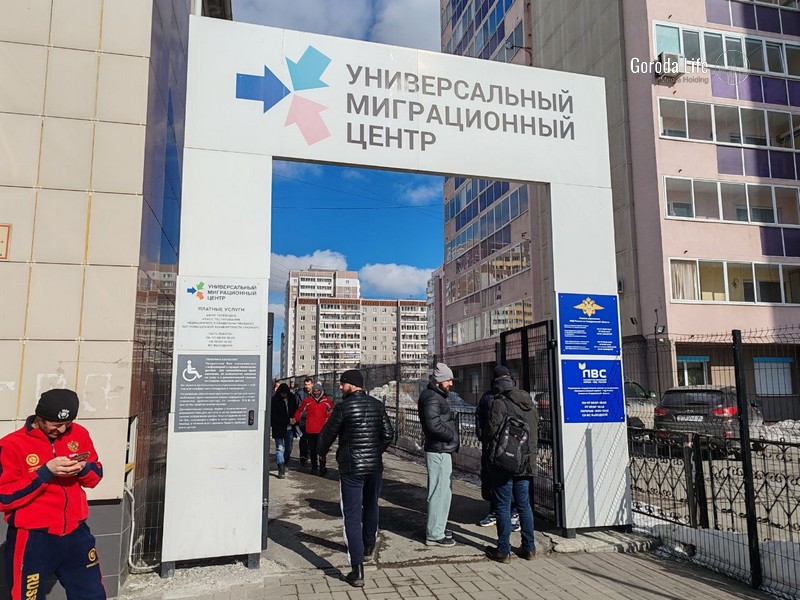 Специальный цифровой профиль для мигрантов появится в России с 30 июня | Цифровой профиль мигранта заменит бумажный патент в России